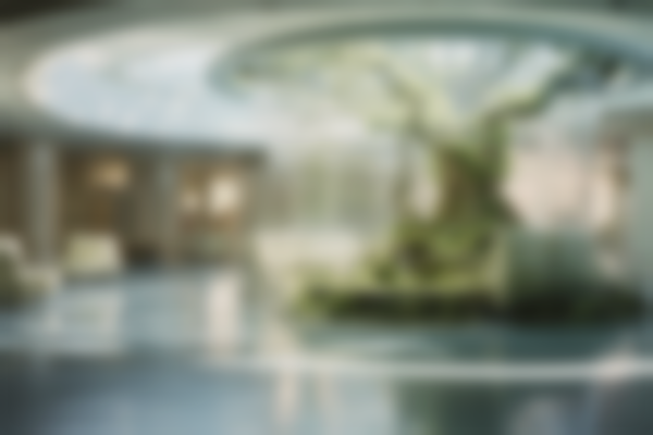 战略支援军队特色医学中心美容